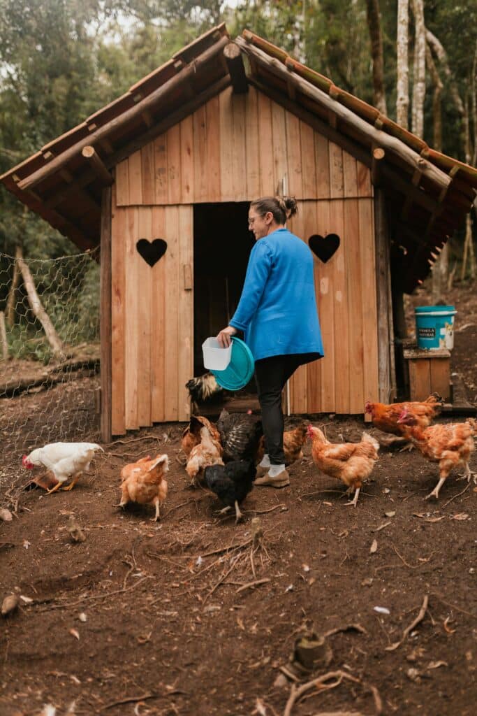 Woman Feeding Chickens Near Rustic Coop